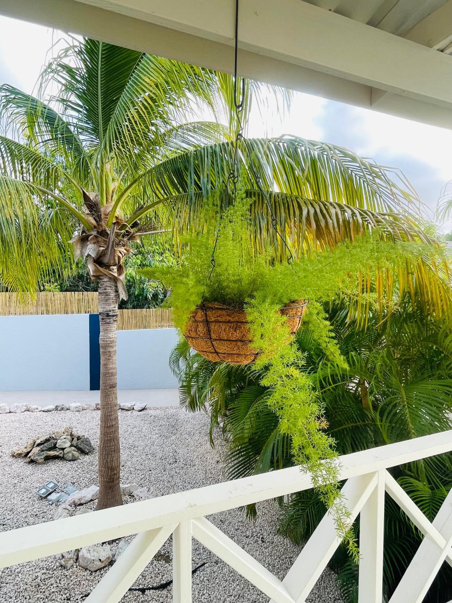 Villa Verdi Willemstad Esterno foto